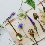 Herbes et épices utilisées dans les plats du restaurant La Table de 3 à Bordeaux.